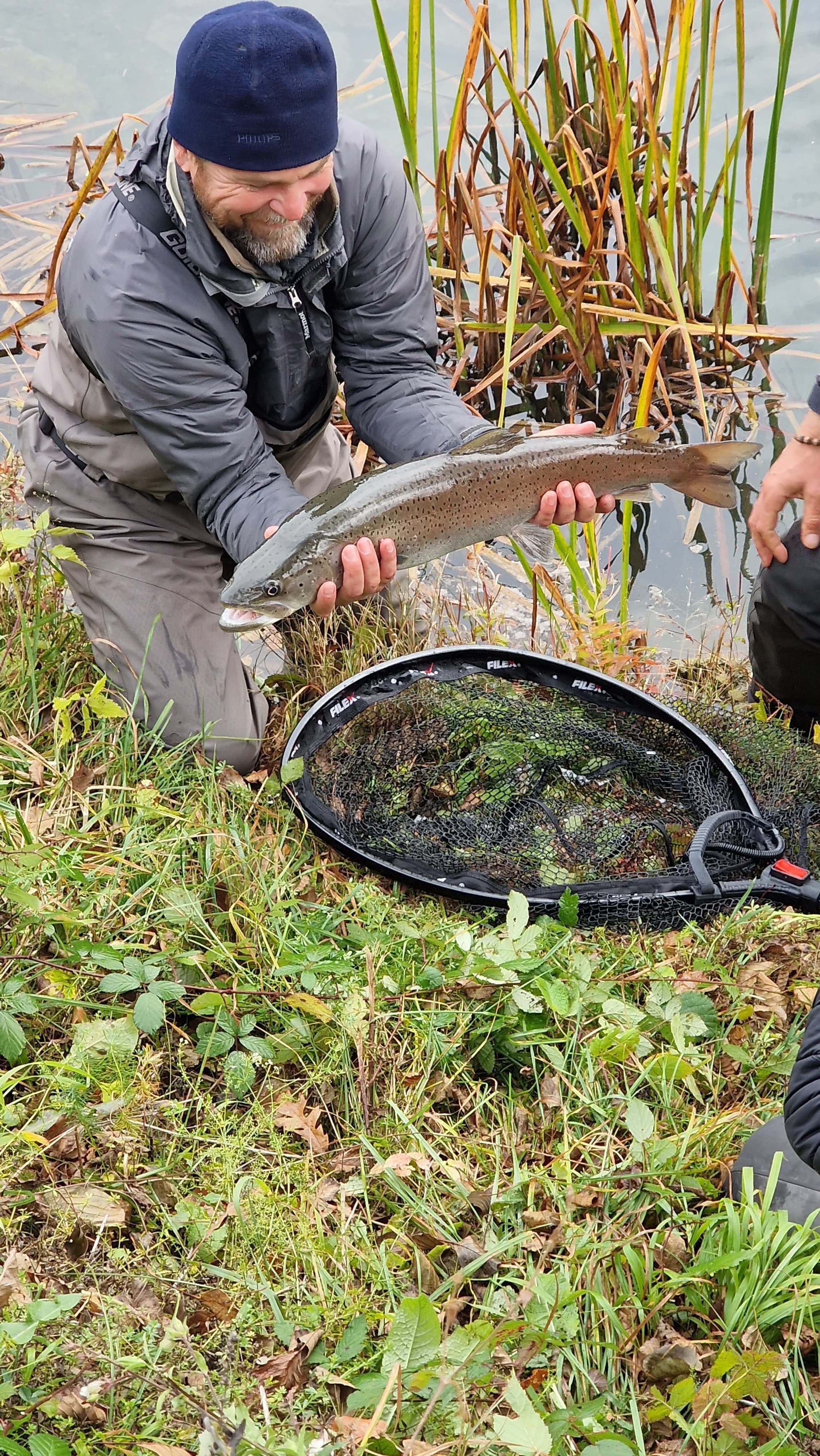 Angler releasing a trout from the landing net