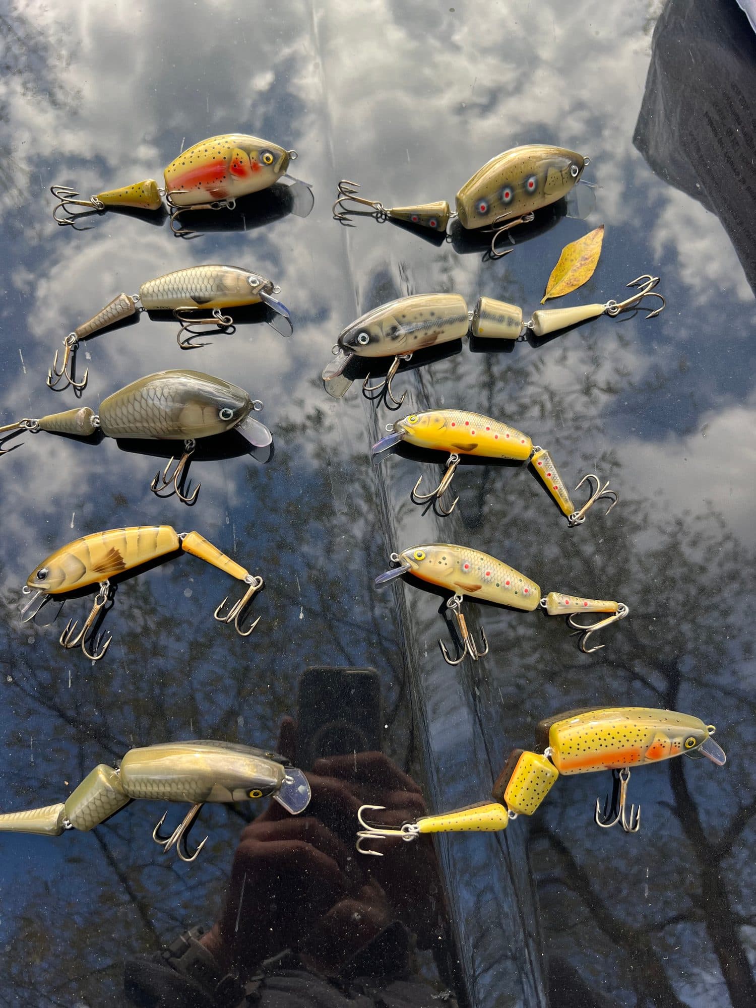 Close-up of hands releasing a fish back into the river
