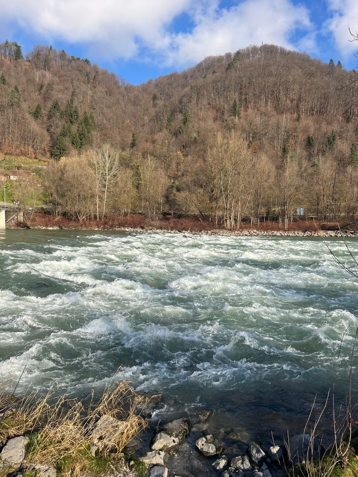 A wide sheet of whitewater rapids below a bare winter treeline