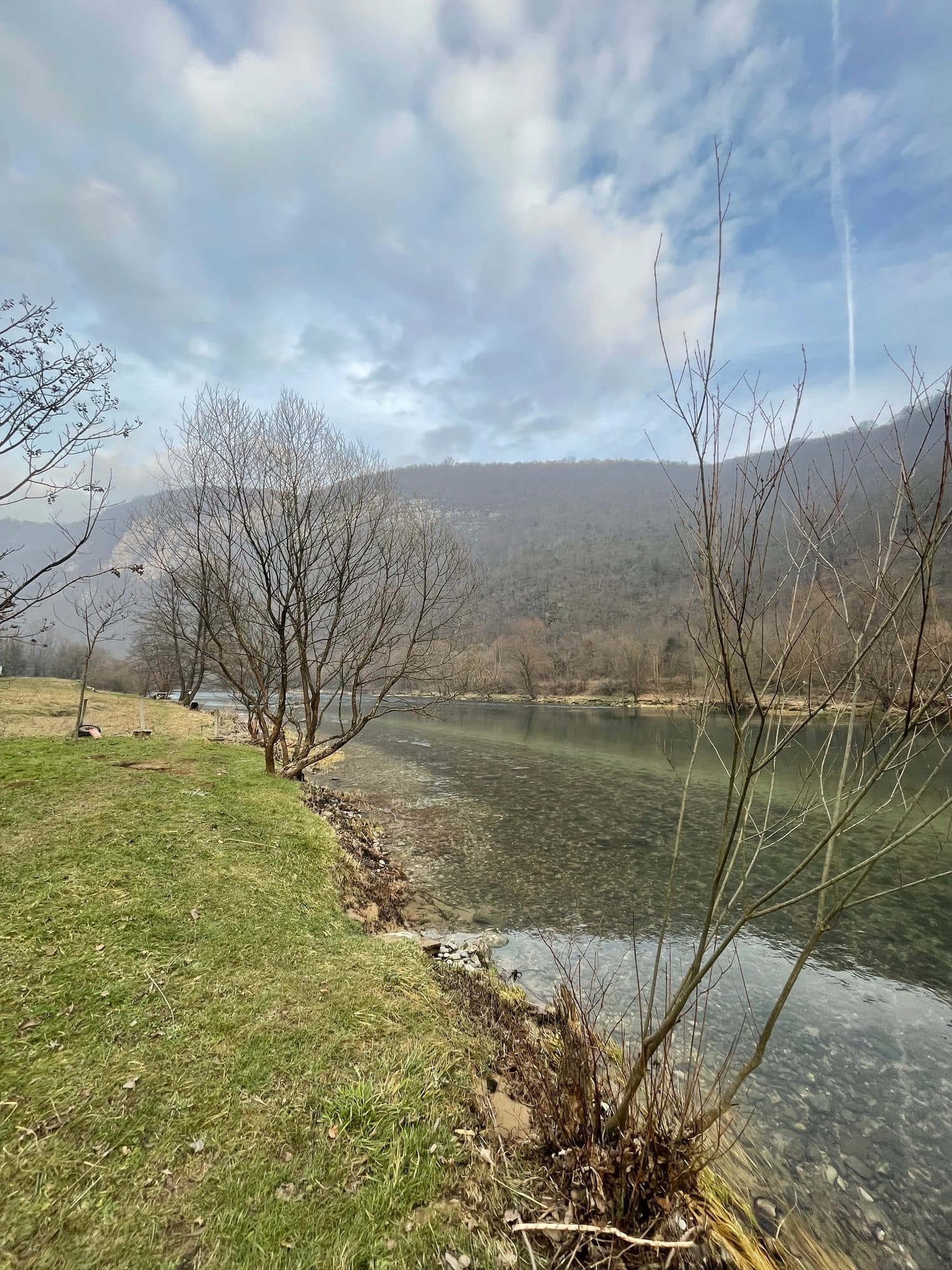 A grassy bank and bare trees along a wide, calm stretch of river