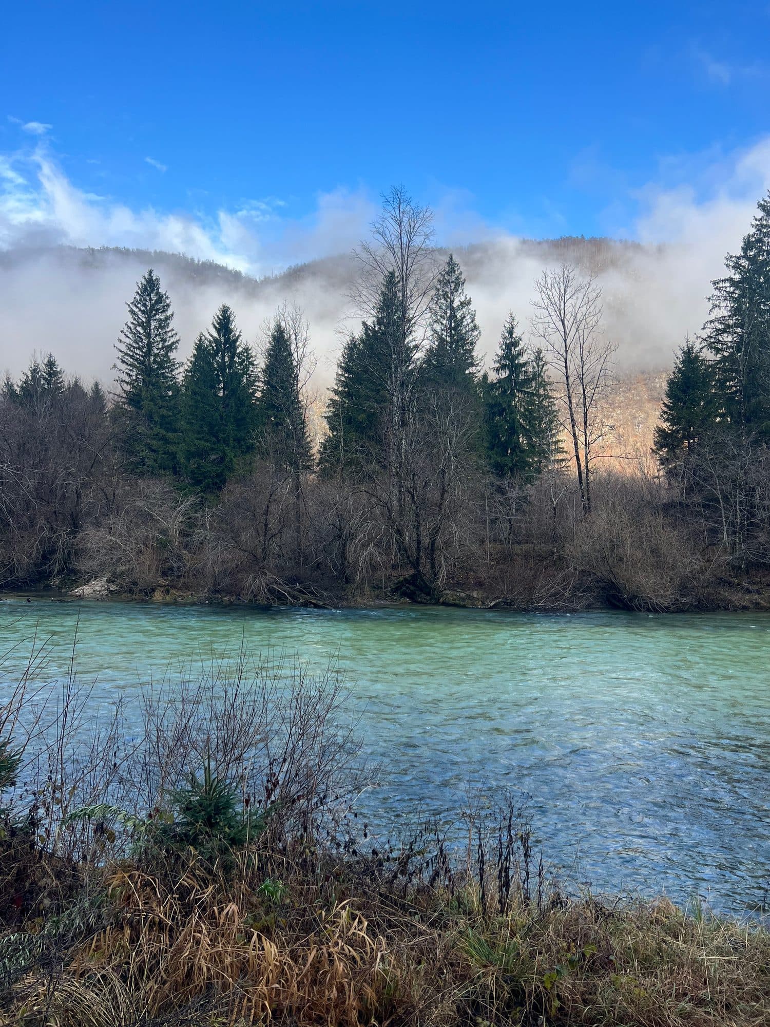 Low cloud clearing off a forested ridge above a turquoise river