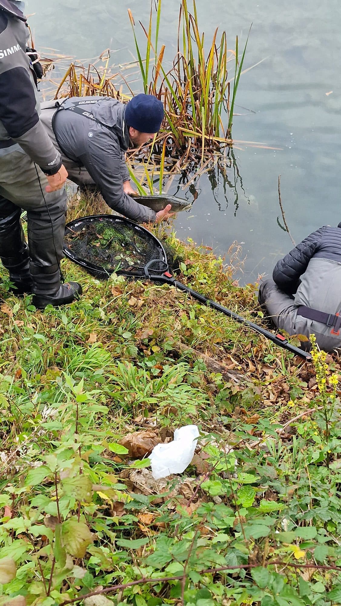 Angler's hand gently releasing a wild trout back into the current