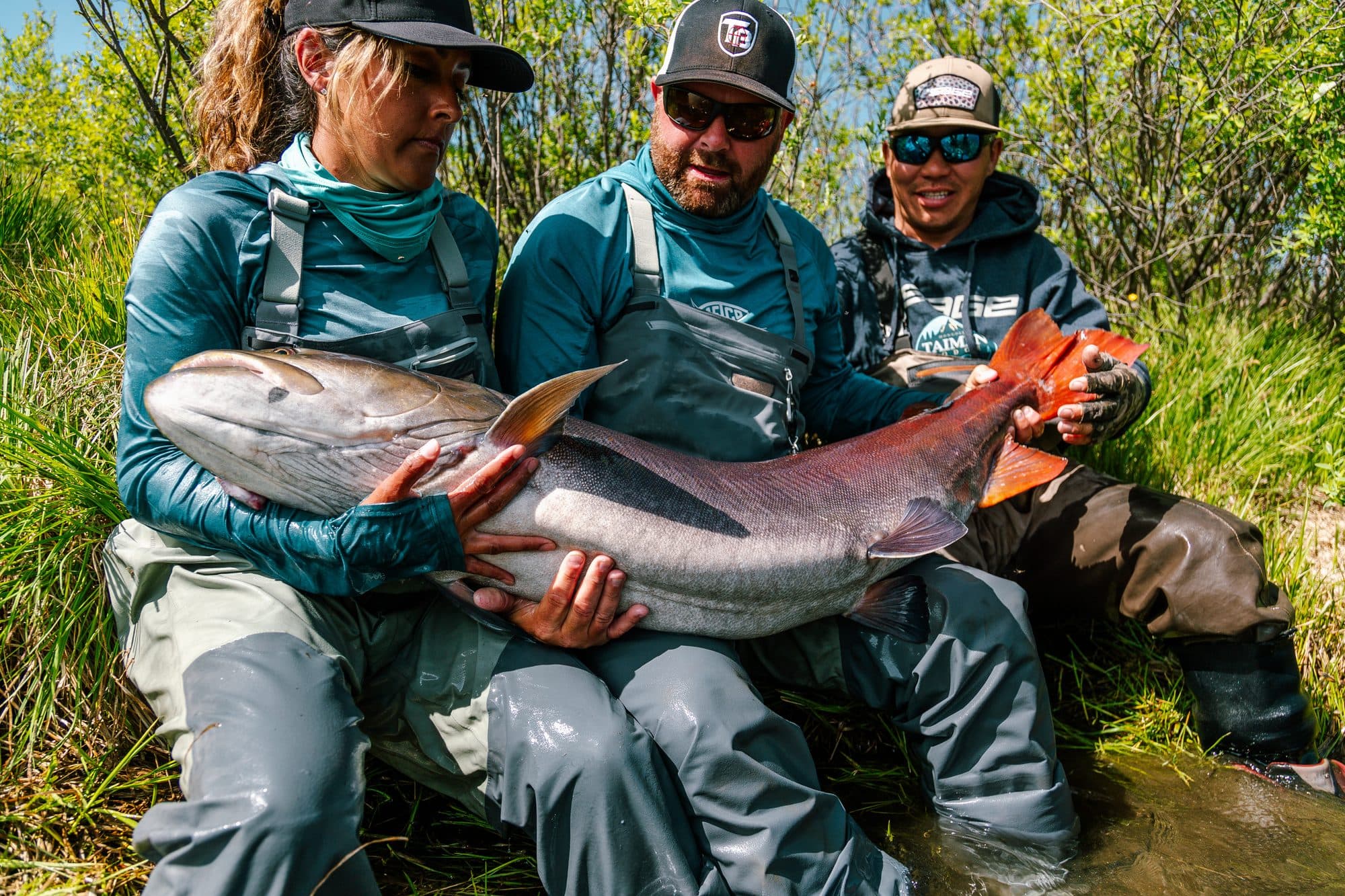 Group of anglers holding an enormous taimen together