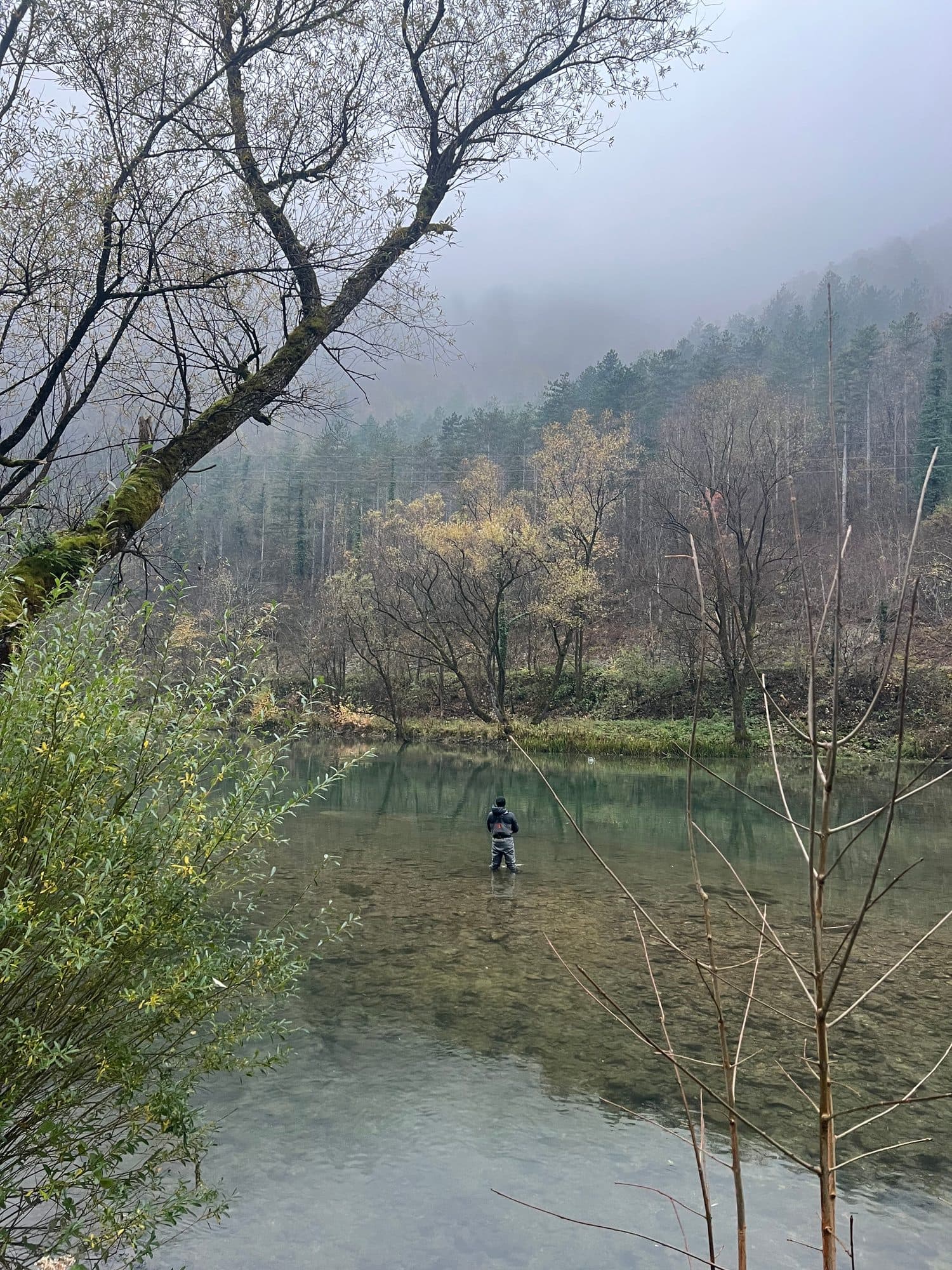 An angler wading a slow green pool between bare winter trees
