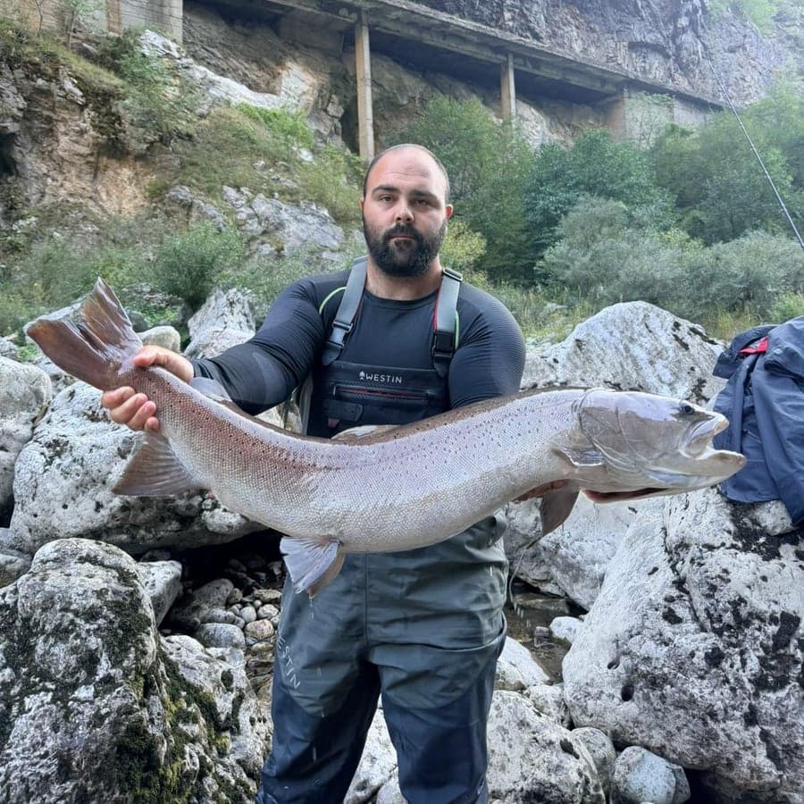 Stefan Božović, Guide