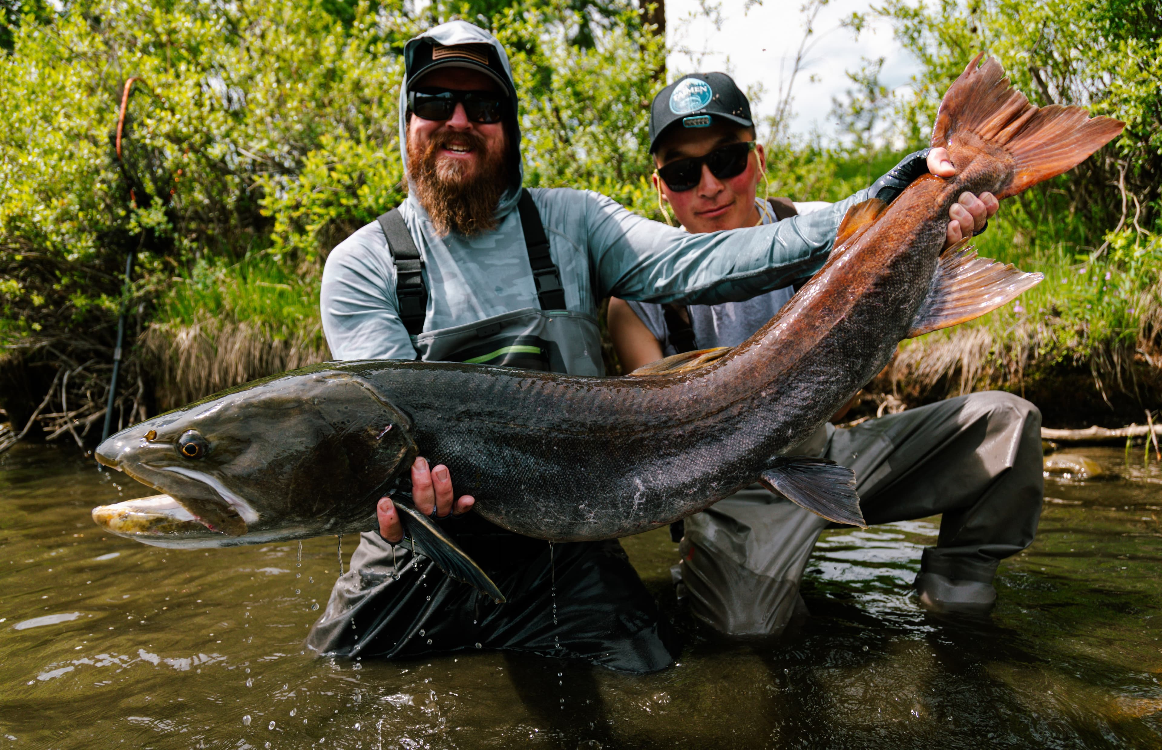 Guide and client together holding a giant taimen