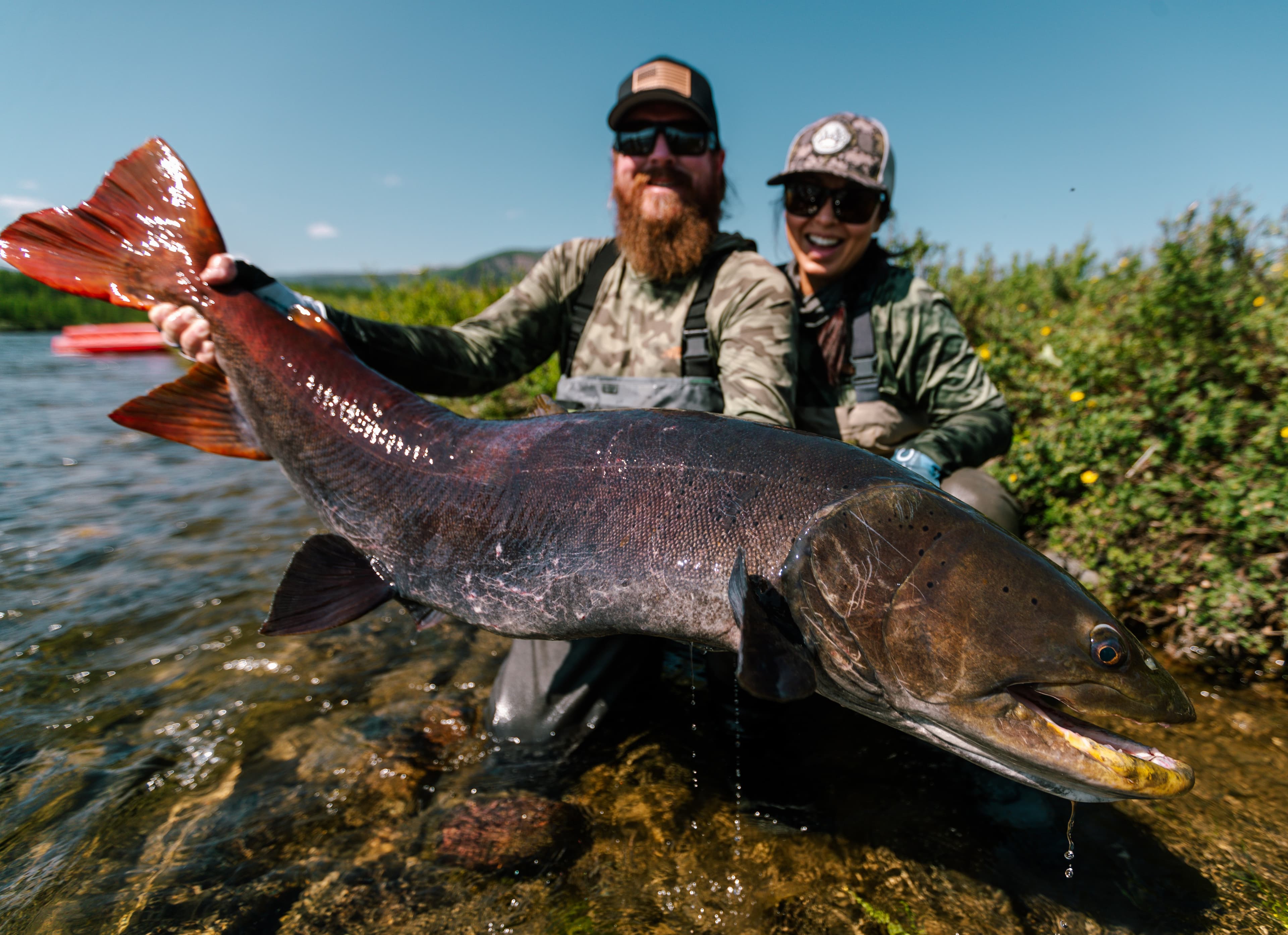 Two anglers together with a giant taimen