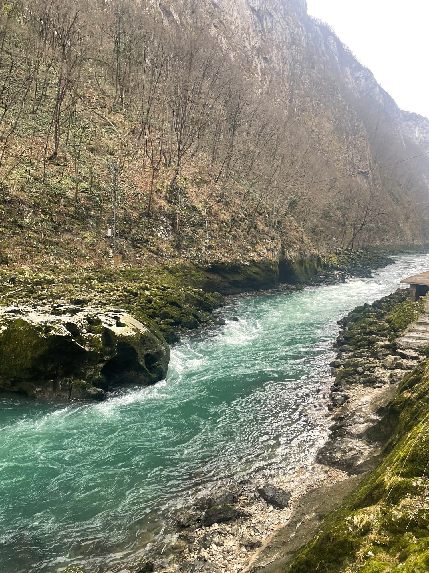 Whitewater tumbling over mossy limestone ledges