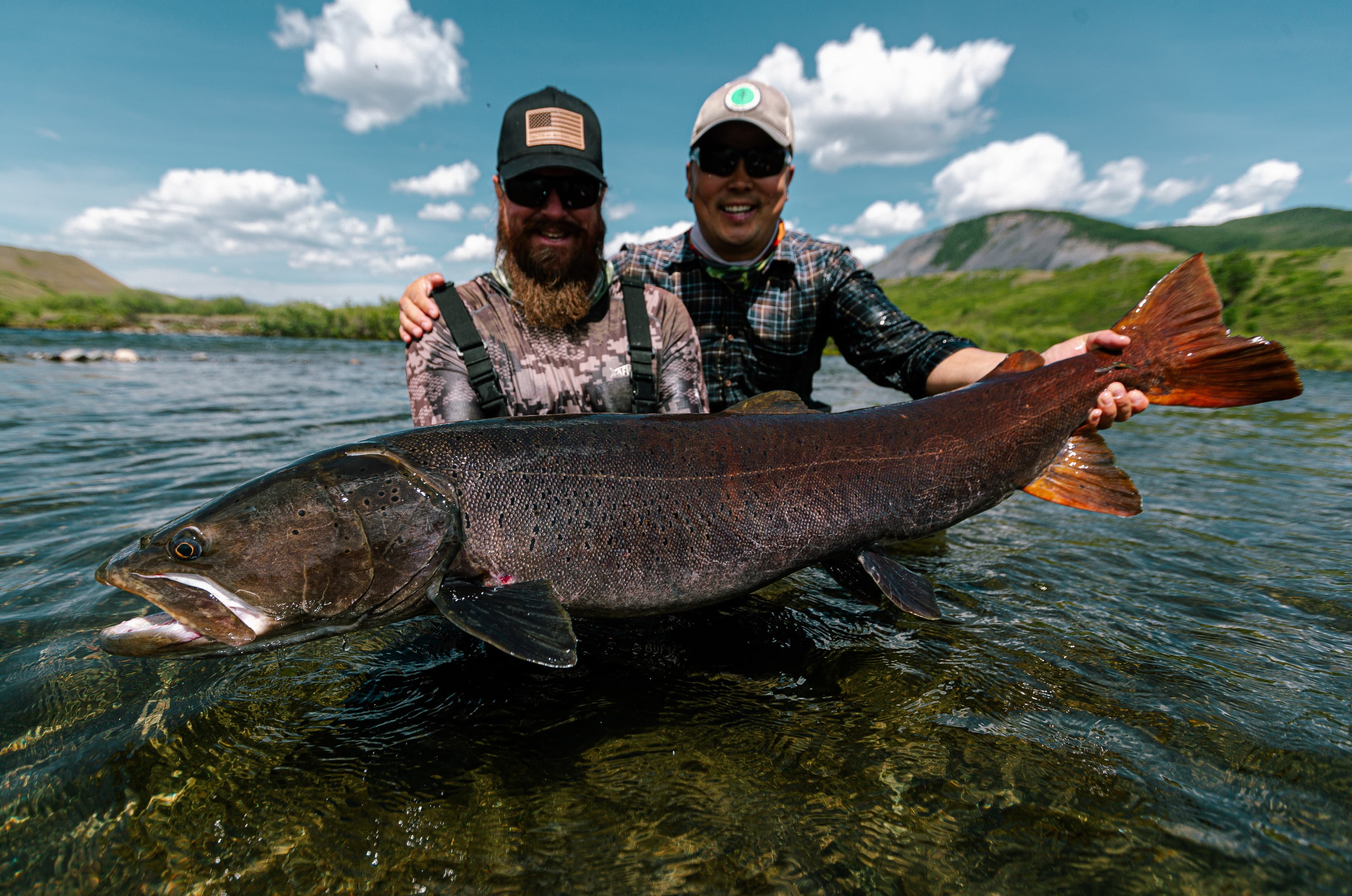 Angler holding a giant taimen against the Mongolian river valley