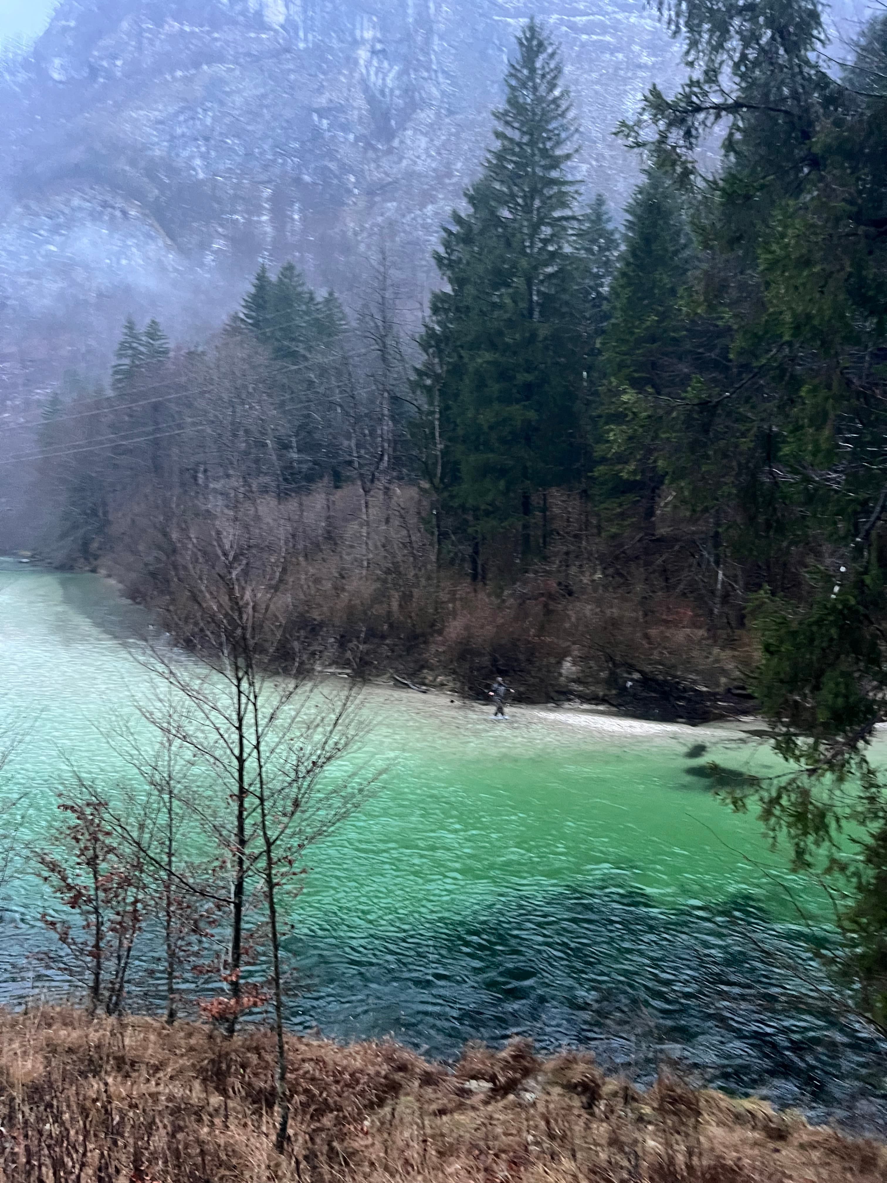 Forested banks of the Kupa River on the Croatia-Slovenia border